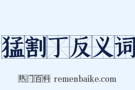 猛割丁反义词是什么意思的图片